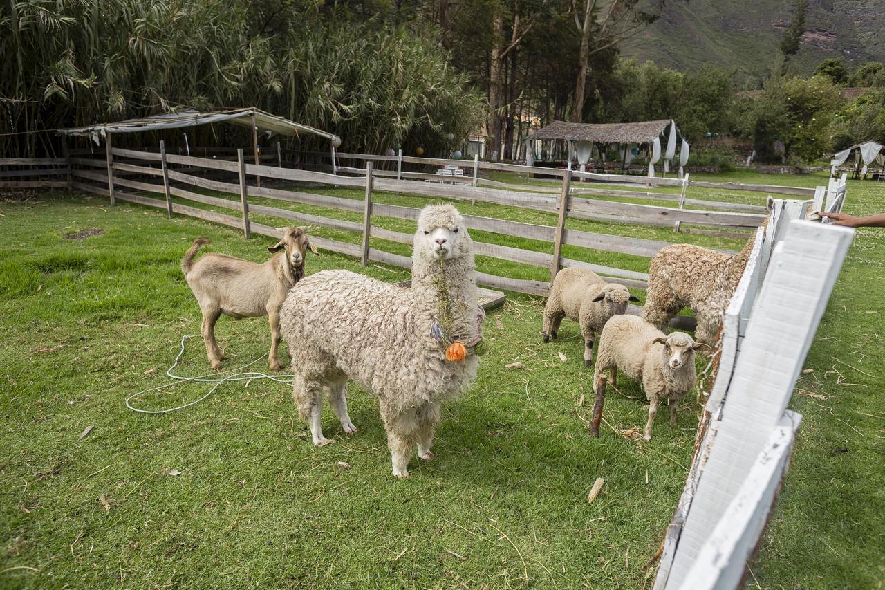 The Sacred Valley Lodge - Hotel Cusco Yucay Extérieur photo